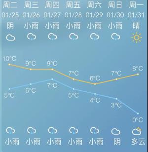 阳光有消息了！还有年度公报哟~